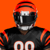 Cincinnati Bengals