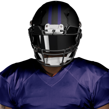 Baltimore Ravens Fantasy Stats - Fantasy Football Player Profile